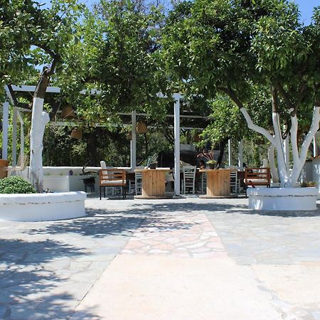 Villa Nouli Sarakiniko  Екстер'єр фото